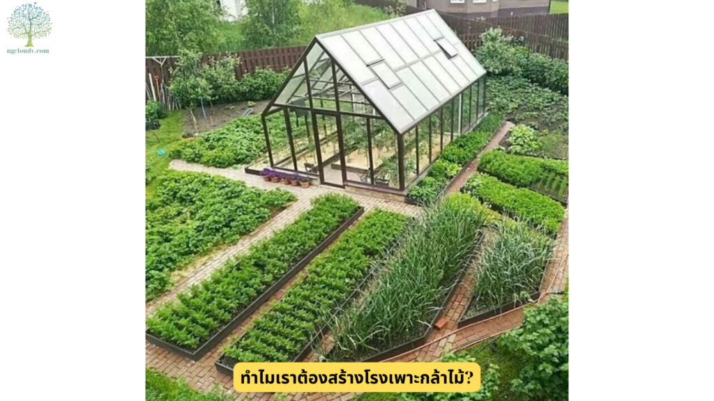 ทำไมเราต้องสร้างโรงเพาะกล้าไม้ (1)